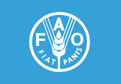 opportunità di tirocini alla FAO